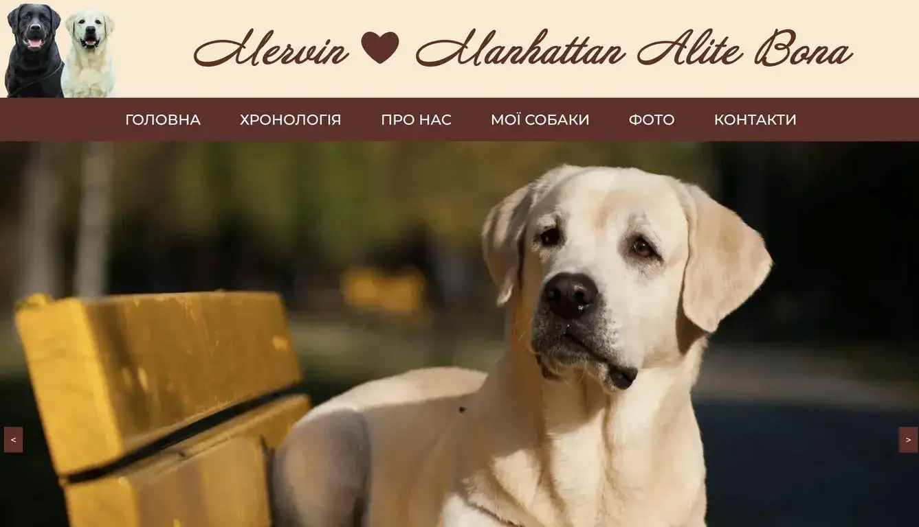 Кейс: корпоративний сайт про двох лабрадорів