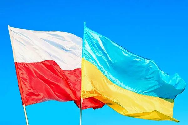 Розвиток інтернет-ринку в Україні та Польщі